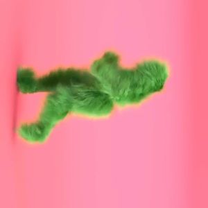 Meet your Posher, Hudson